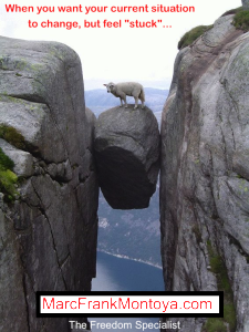 Sheep standing on a rock between cliffs.