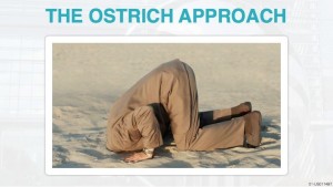 Hardcore success training dot com